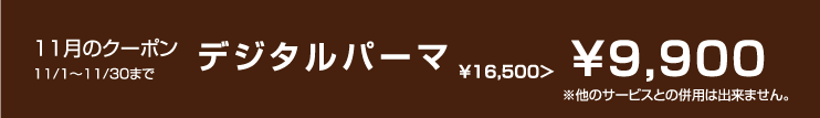 11月のクーポン