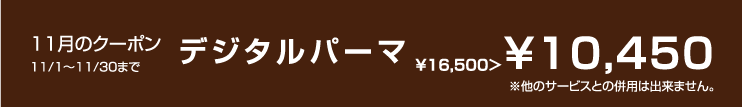 11月のクーポン